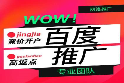 行业趋势下的SEM竞价代运营公司成功案例分析